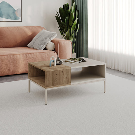 Kailin Modern Coffee Table with Storage – Rectangular Living Room Table with Metal Legs