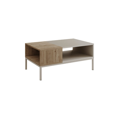 Kailin Modern Coffee Table with Storage – Rectangular Living Room Table with Metal Legs