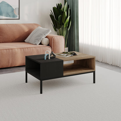 Kailin Modern Coffee Table with Storage – Rectangular Living Room Table with Metal Legs