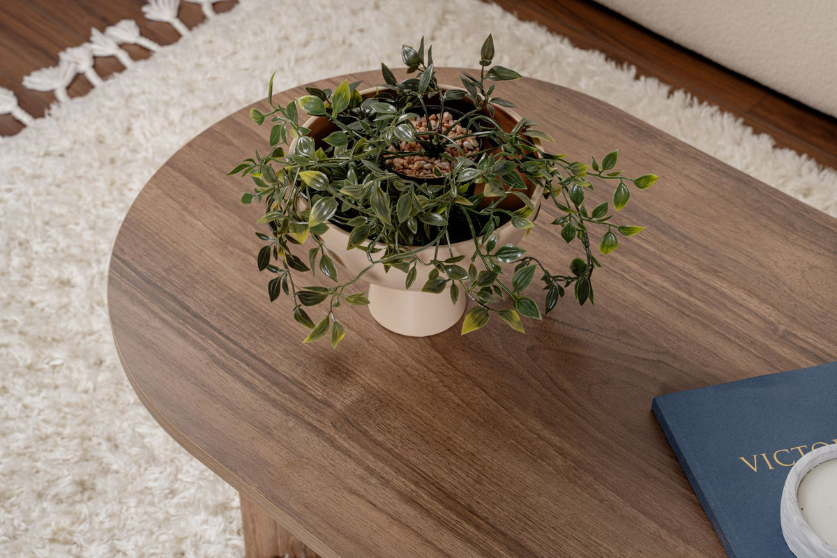 Halvra 119cm Oval Coffee Table with Floor-Protecting Legs — Natural Walnut Effect, image 7