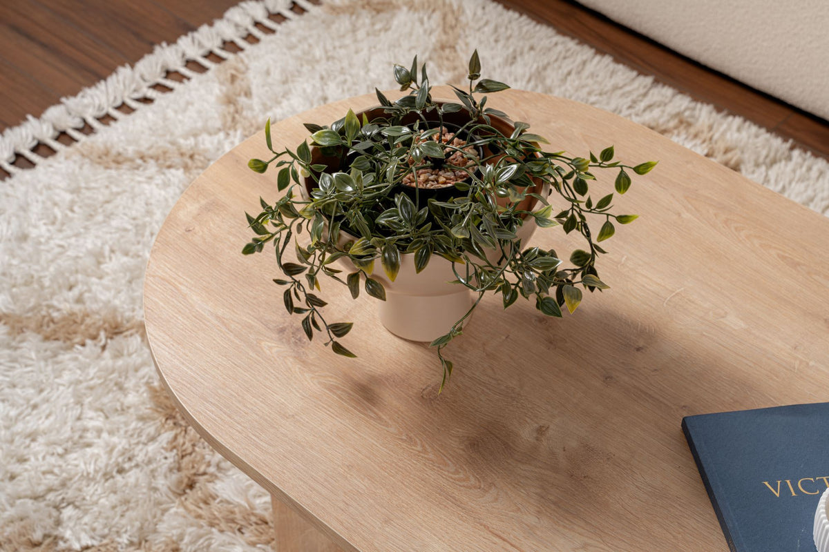 Halvra 119cm Oval Coffee Table with Floor-Protecting Legs — Oak, image 7