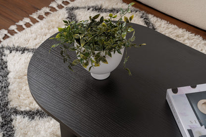 Halvra 119cm Oval Coffee Table with Floor-Protecting Legs — Black Wood, image 7