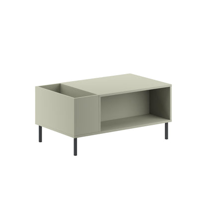 Mylde 100cm Coffee Table with Planter Shelf and Metal Legs — Ash Green, Black Metal, image 5