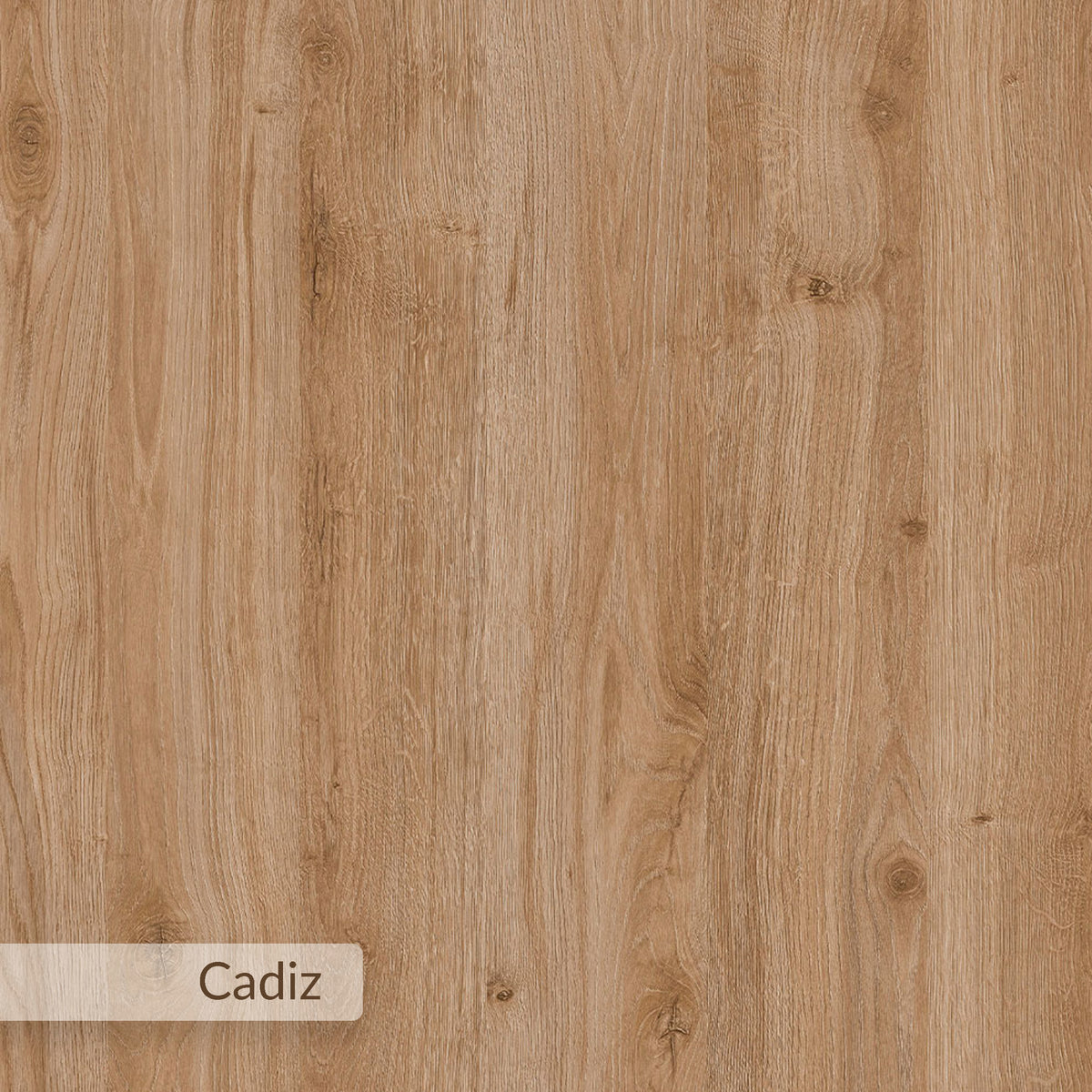 Olvan 120cm Rectangular Coffee Table with Rounded Corners — Cadiz Oak, image 2